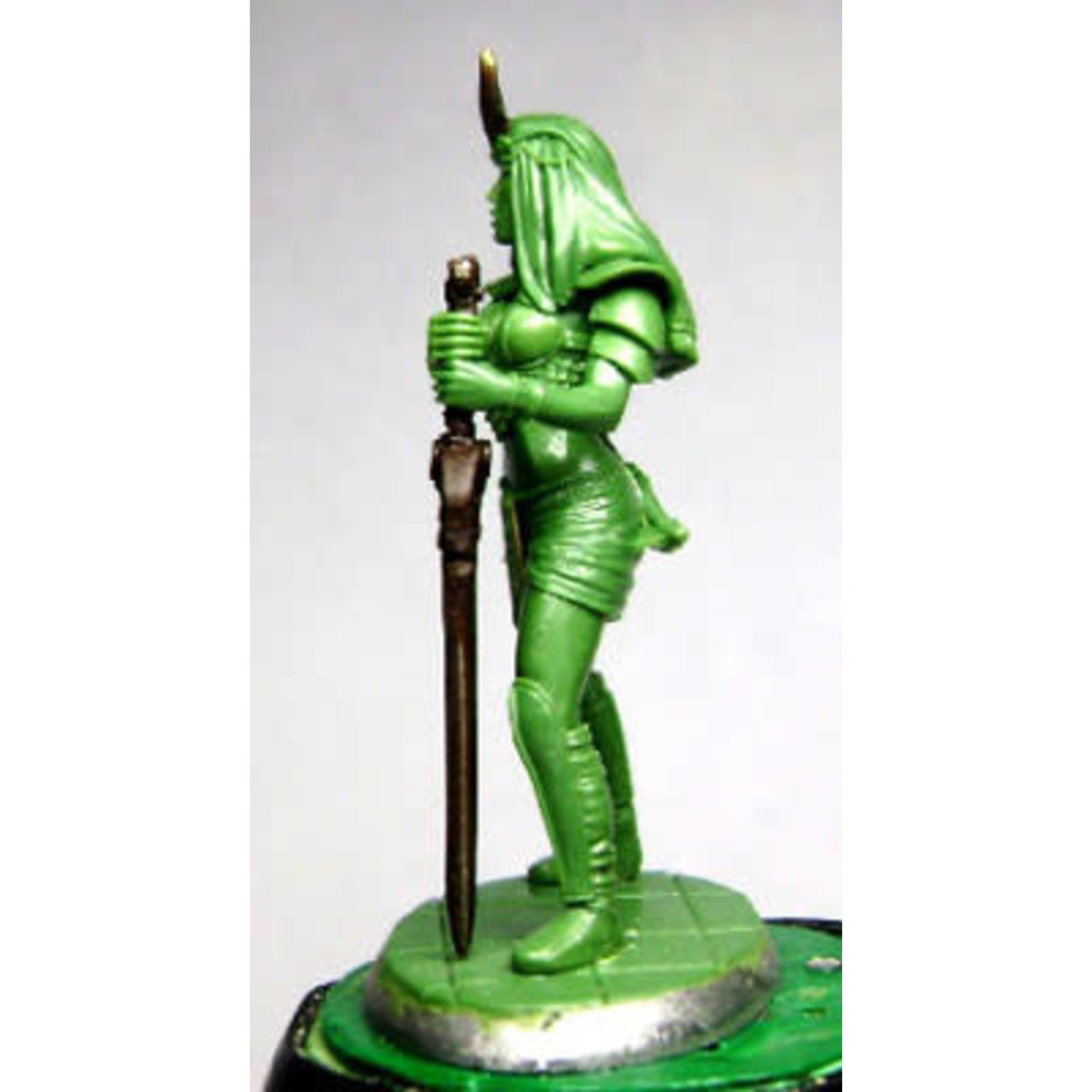 Dark Sword Miniatures Dark Sword Miniatures (Metal) Elmore Masterworks - Female Royal Guard (1)