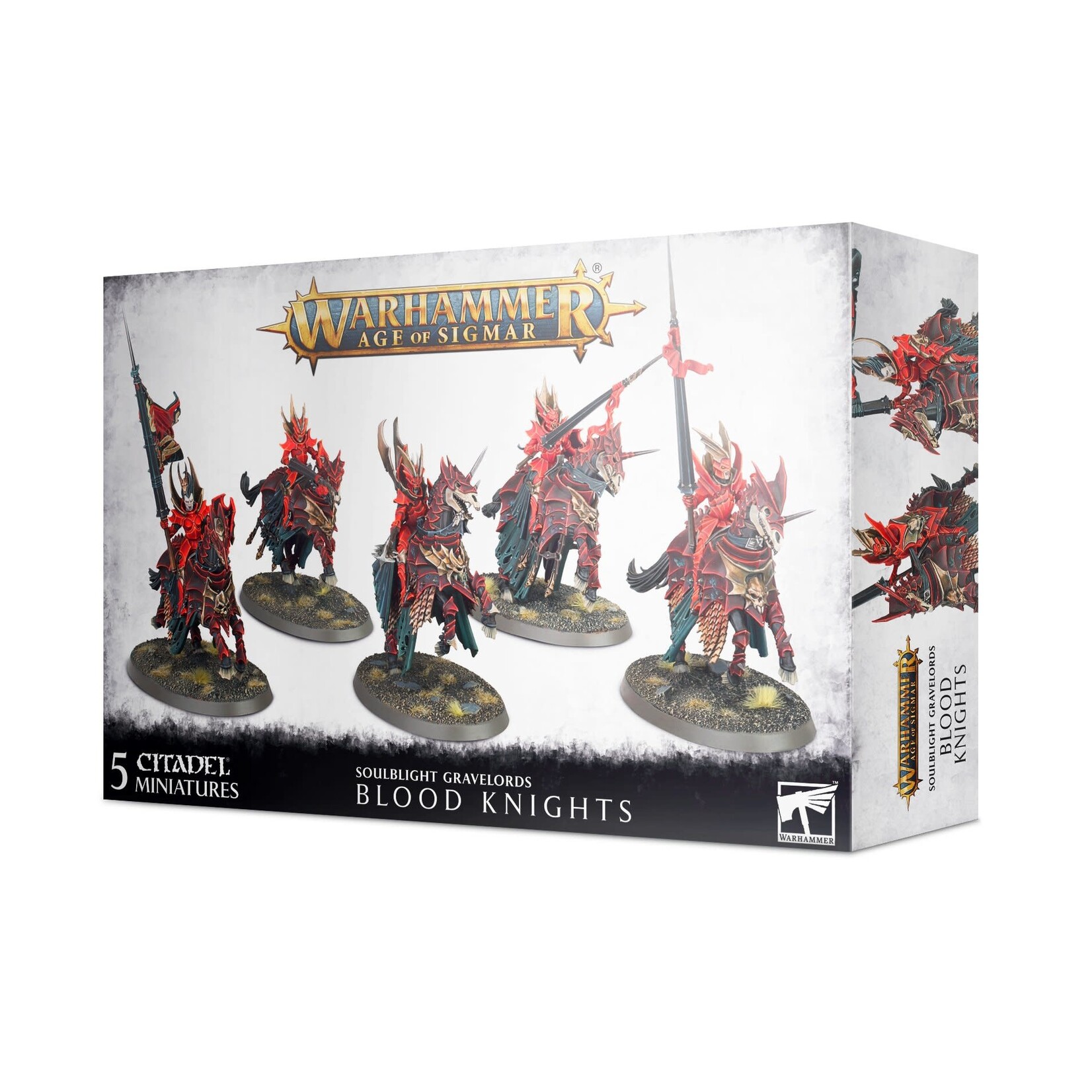 Age of Sigmar Age of Sigmar: Soulblight Gravelords: Blood Knights