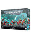 Warhammer 40k Warhammer 40k: Aeldari: Guardians