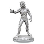 Wizkids Wizkids D&D Nolzur's Marvelous Miniatures: Headless Monster