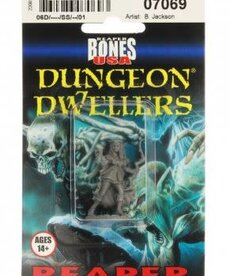 Reaper Reaper  Dungeon Dwellers 07069 Elf Scout: Liara (1) Set