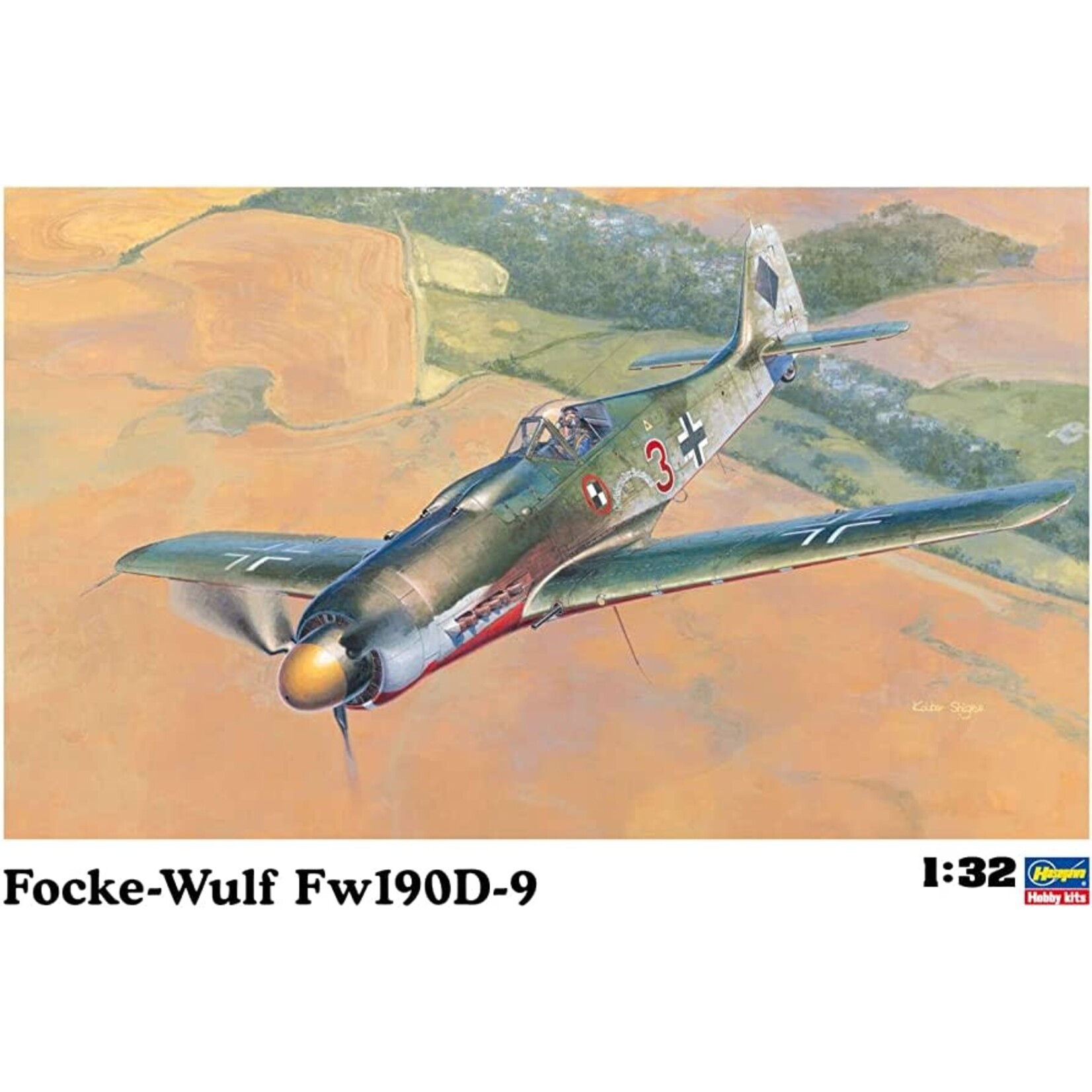 Hasegawa Hoard: 1/32 Hasegawa Focke-Wulf Fw190D-9