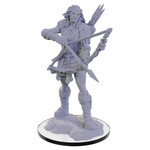 Wizkids Wizkids D&D Nolzur's Marvelous Miniatures: Wood Giant (1)