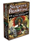 Flying Frog Productions Shadows Of Brimstone Character: Blood Priestess