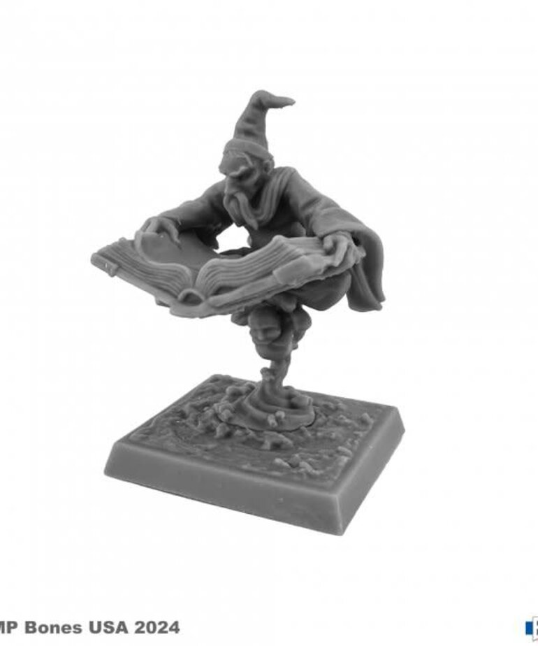 Reaper Reaper Legends 30188 Wizard #1 (1)