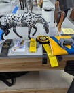 Hard Knox Live Model Horse Show Entry 2026