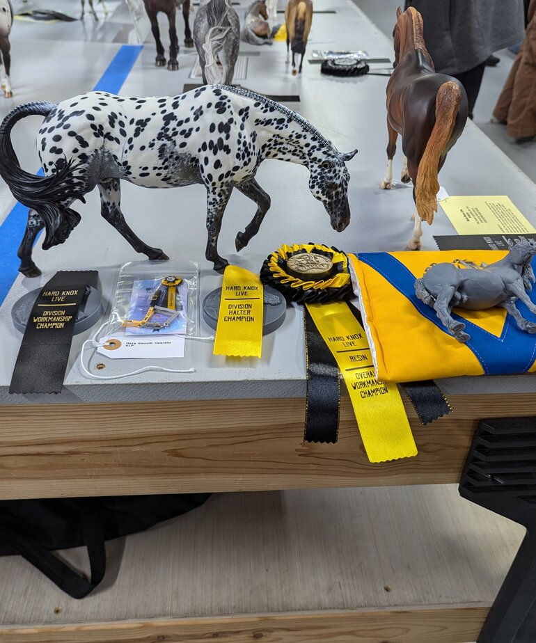 Hard Knox Live Model Horse Show Entry 2025
