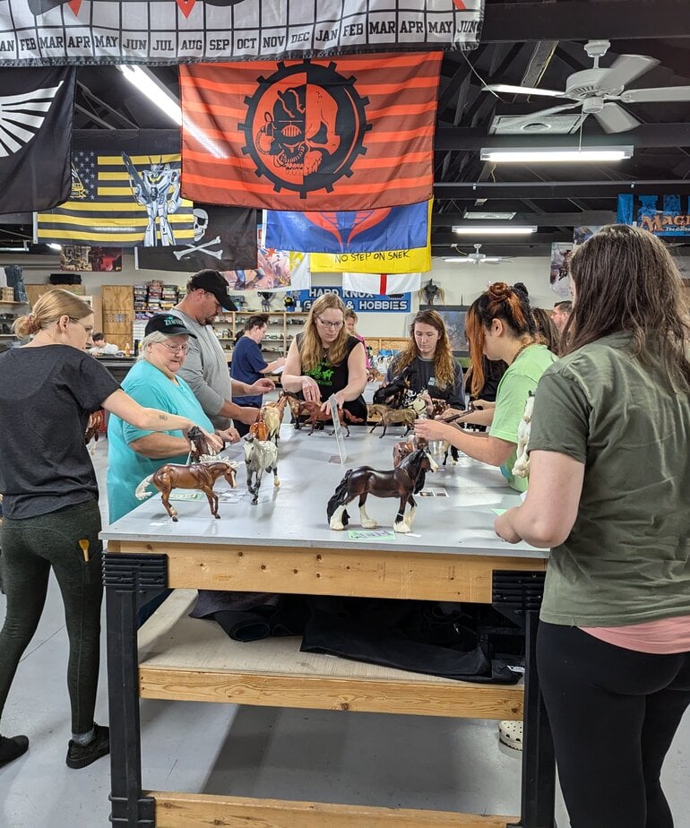 Hard Knox Live Model Horse Show Entry 2025