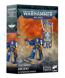 Warhammer 40k Warhammer 40k: Space Marines: Ancient in Terminator Armour