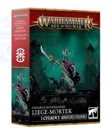Age of Sigmar Age of Sigmar:  Ossiarch Bonereapers: Liege Mortek