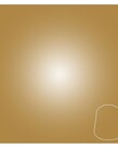 Citadel Layer Liberator Gold 12ml pot