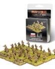 Flames of War Flames of War: Polish: Dismounted Cavalry Regiment