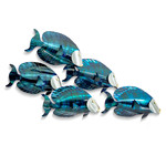BLUE TANG 5 FISH WALL ART