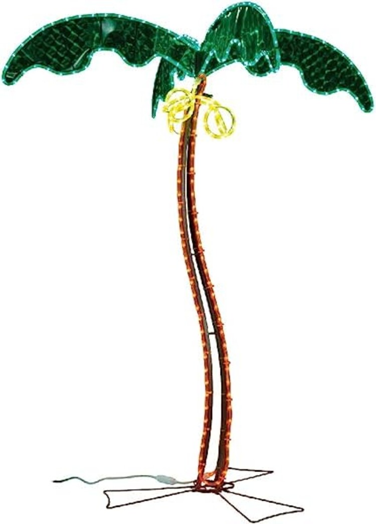 Ming Marks 5' Coconut palm tree