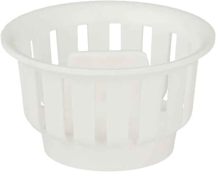 Lasalle Bristol 2" Strainer Only