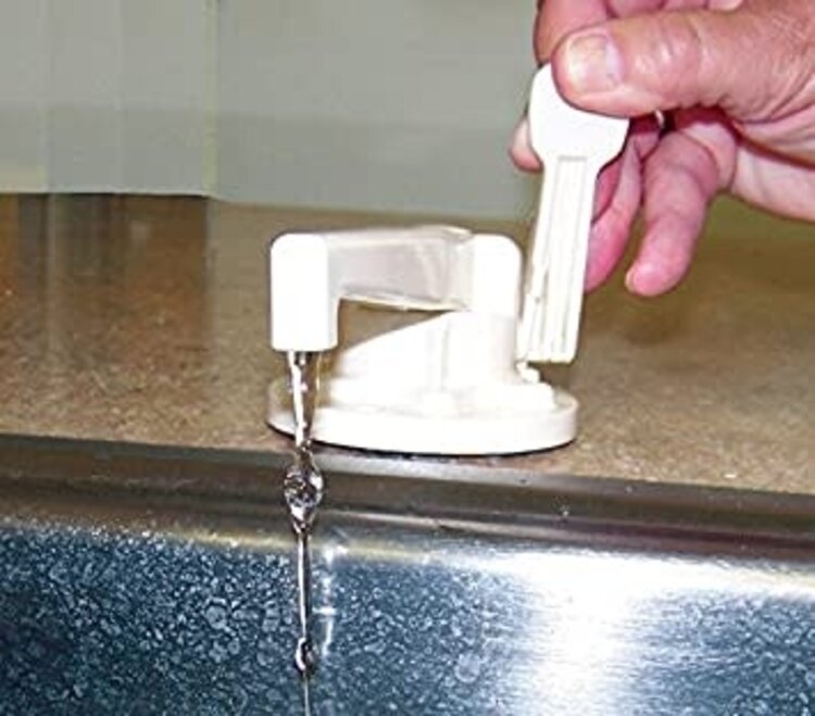 Zebra RV Self Priming Pump Faucet