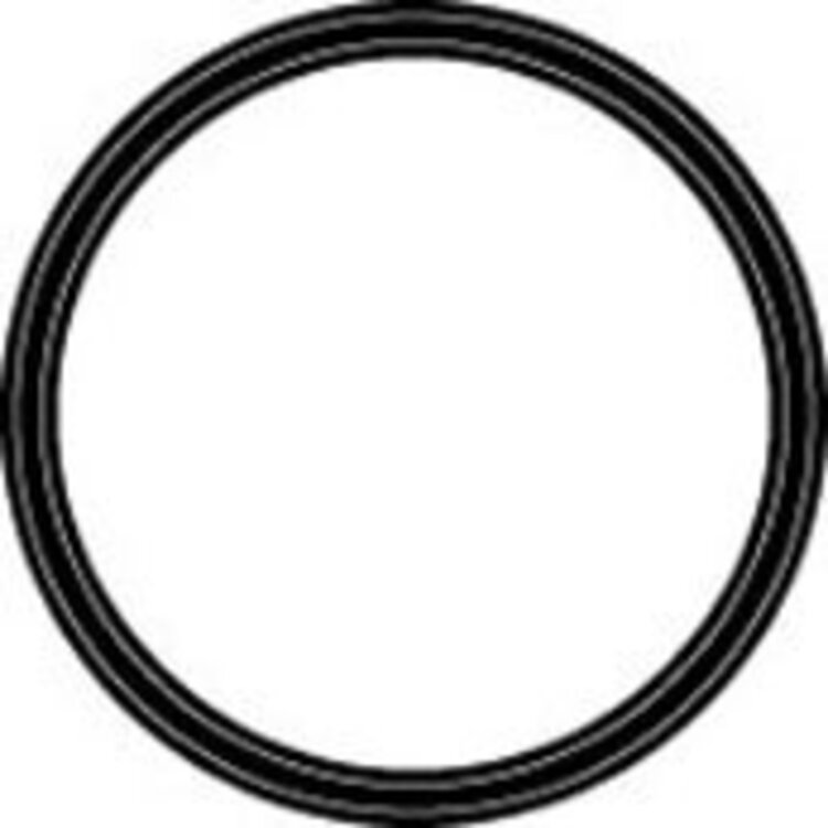 Culligan O-Ring Water Filter