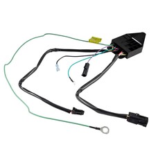 Lippert Step Control/Override