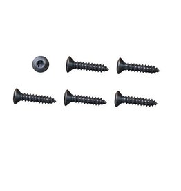 AMK 1978-81 Camaro Park Bezel Screws Black