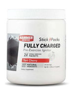 Hammer Nutrition Hammer Fully Charged 24 servicios