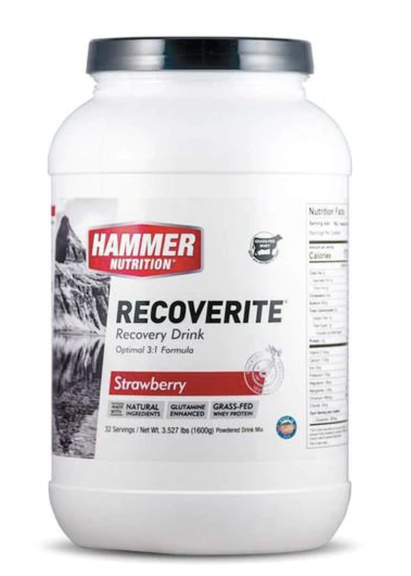 Hammer Nutrition Hammer Recoverite bote con 32 servicios