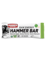 Hammer Nutrition Hammer Bar Raw Energy