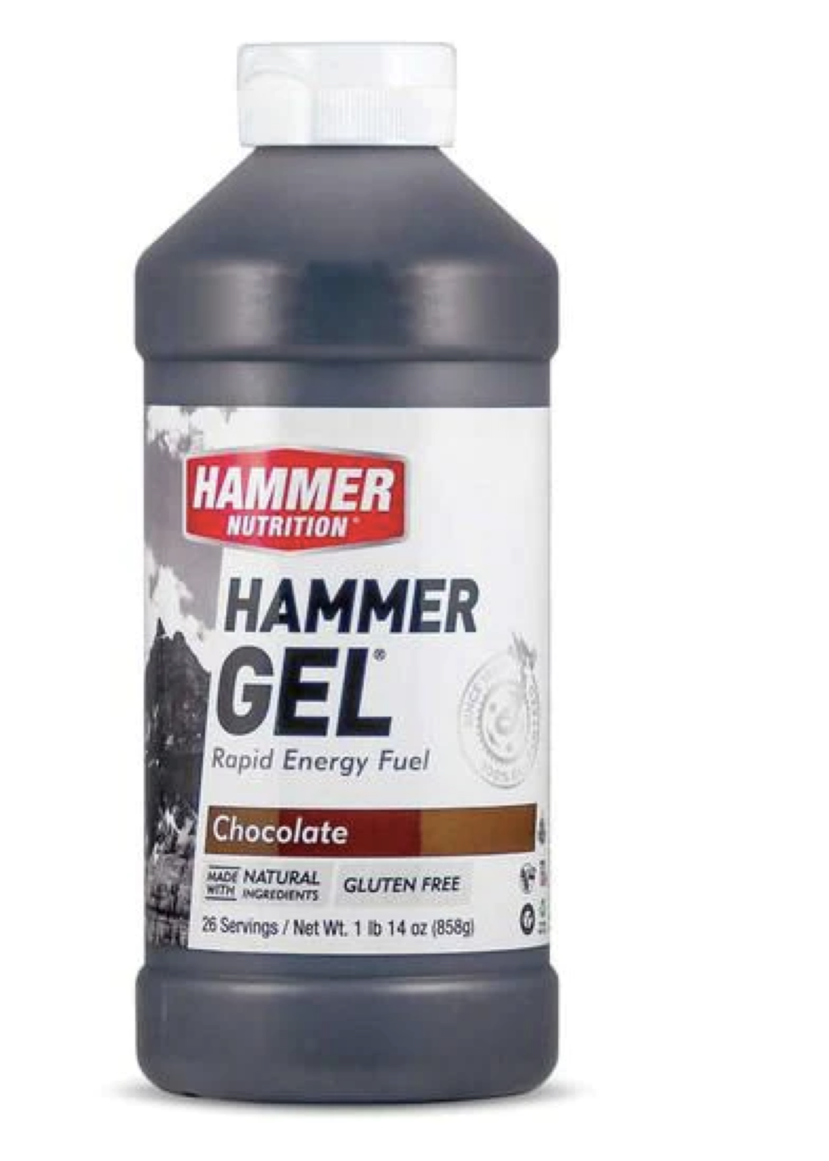 Hammer Nutrition Hammer Gel 26 servicios