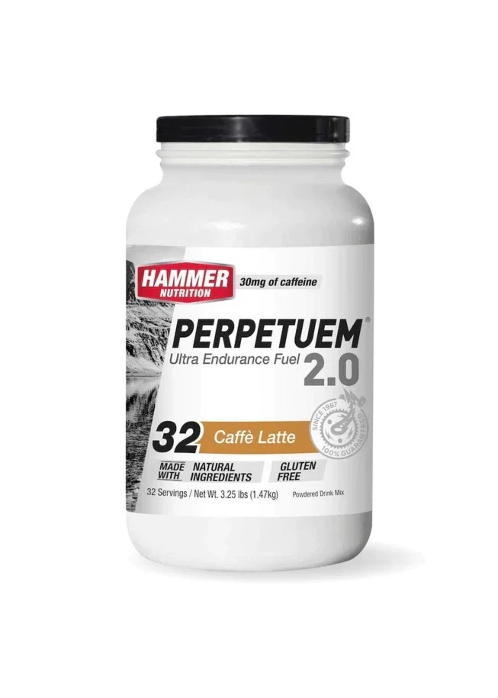 Hammer Nutrition Hammer Perpetuem bote 32 servicios