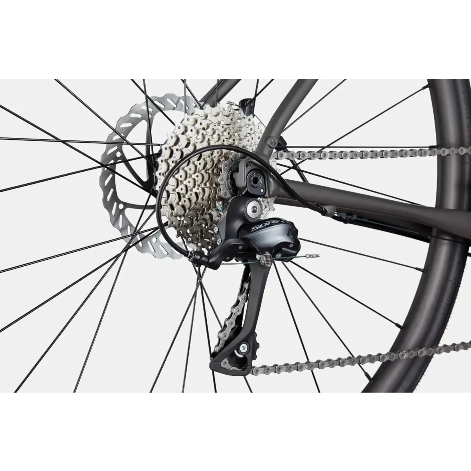 Cannondale 2024 Synapse 3 Alloy