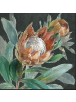 Tropical Protea - PRE-ORDER