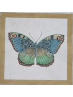Bohemian Butterfly - PRE-ORDER