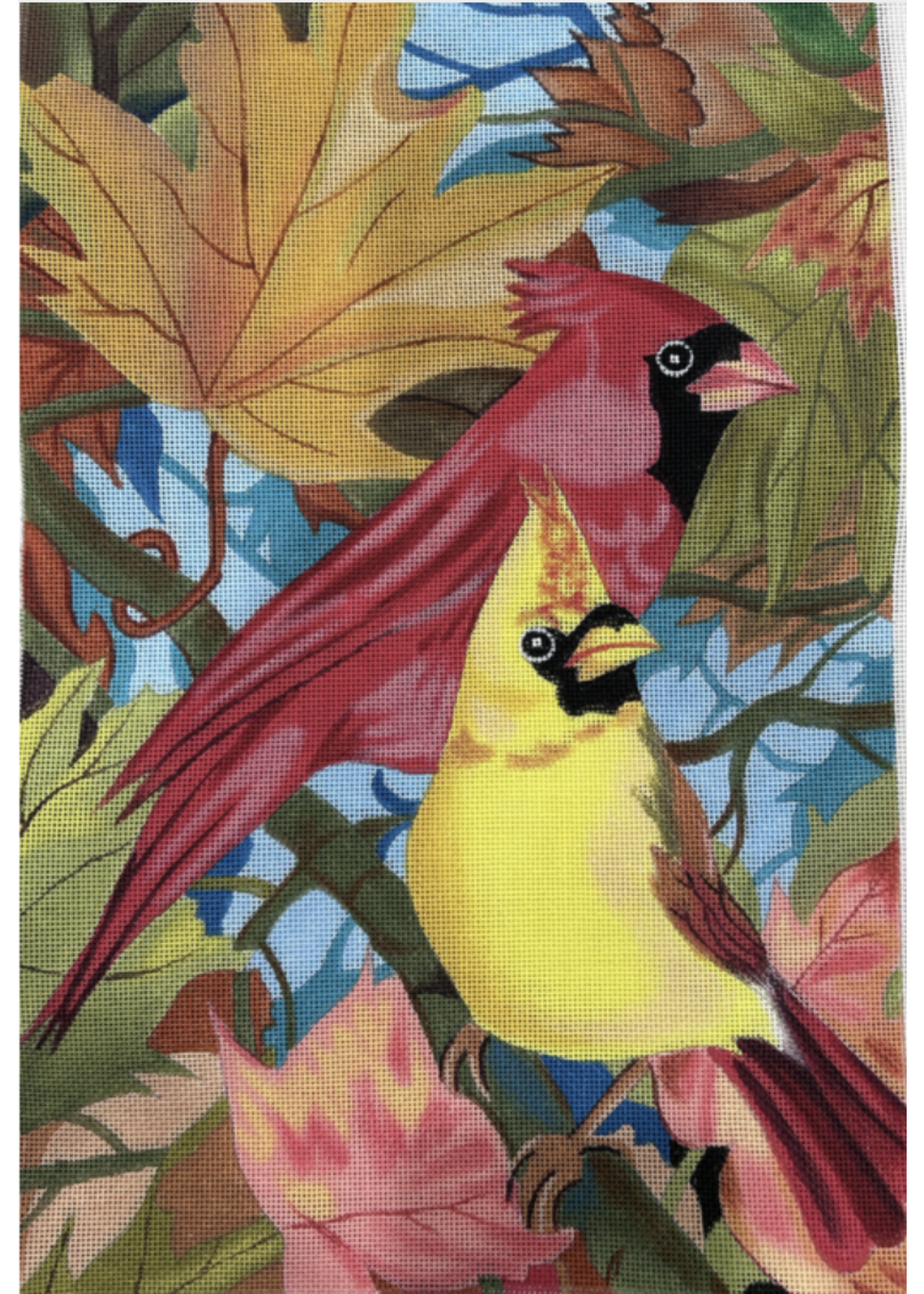 Cardinals