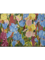 Iris Interlude