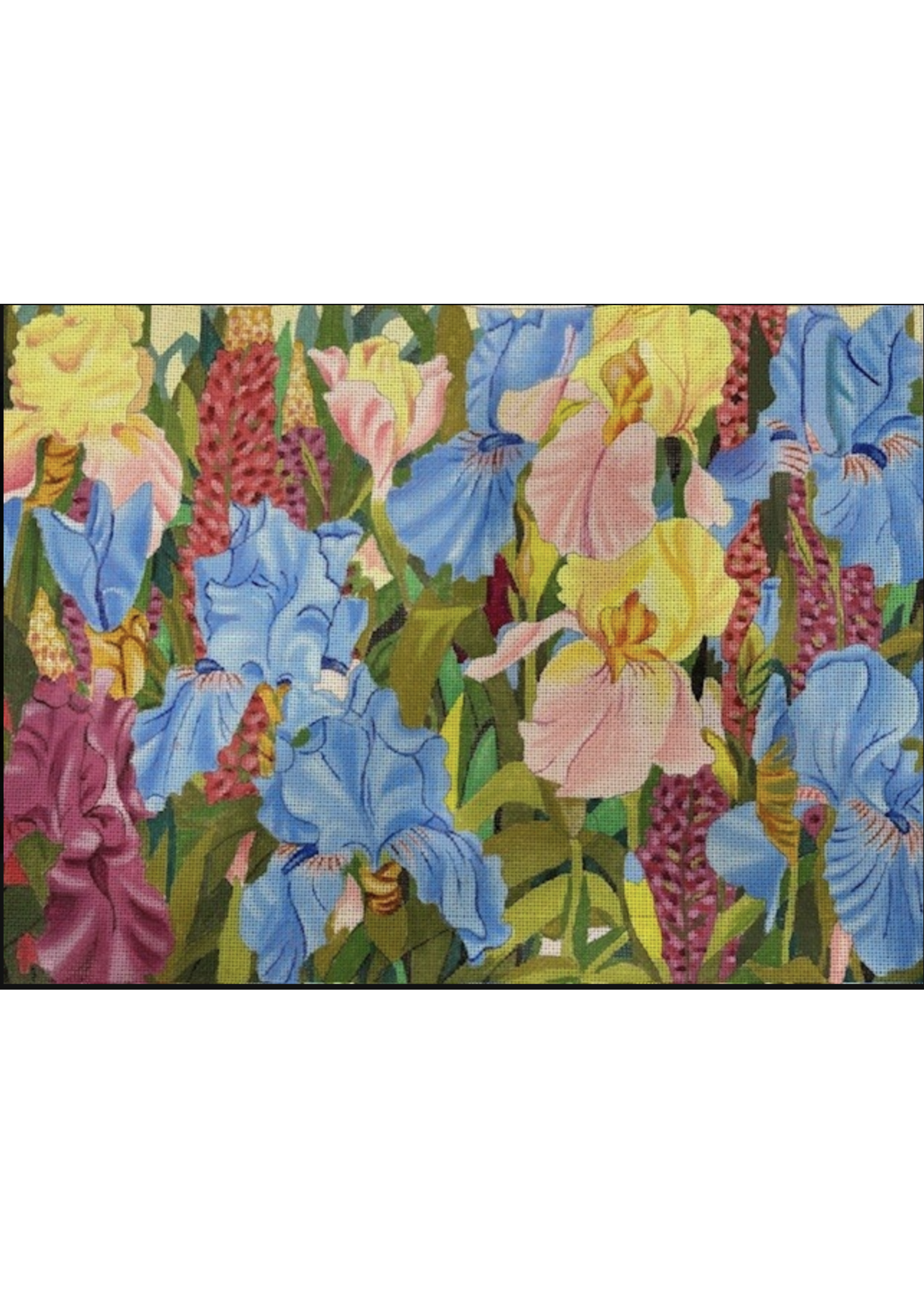 Iris Interlude