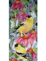 Melody of Goldfinch