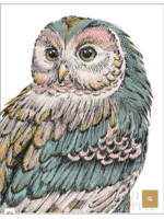 Beautiful Owl  - Pastel