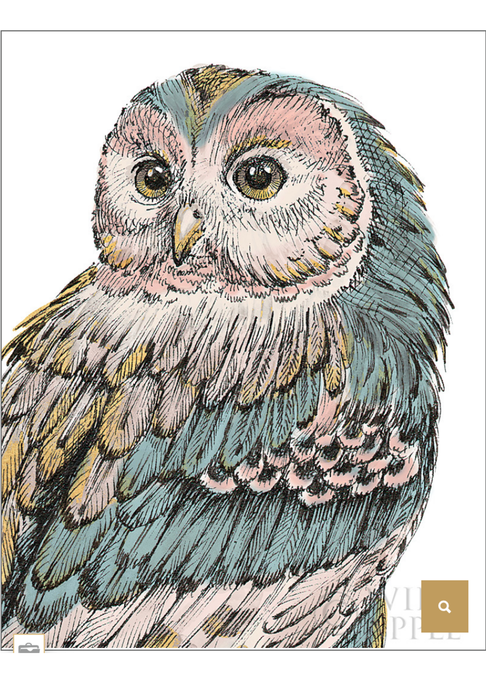 Beautiful Owl  - Pastel