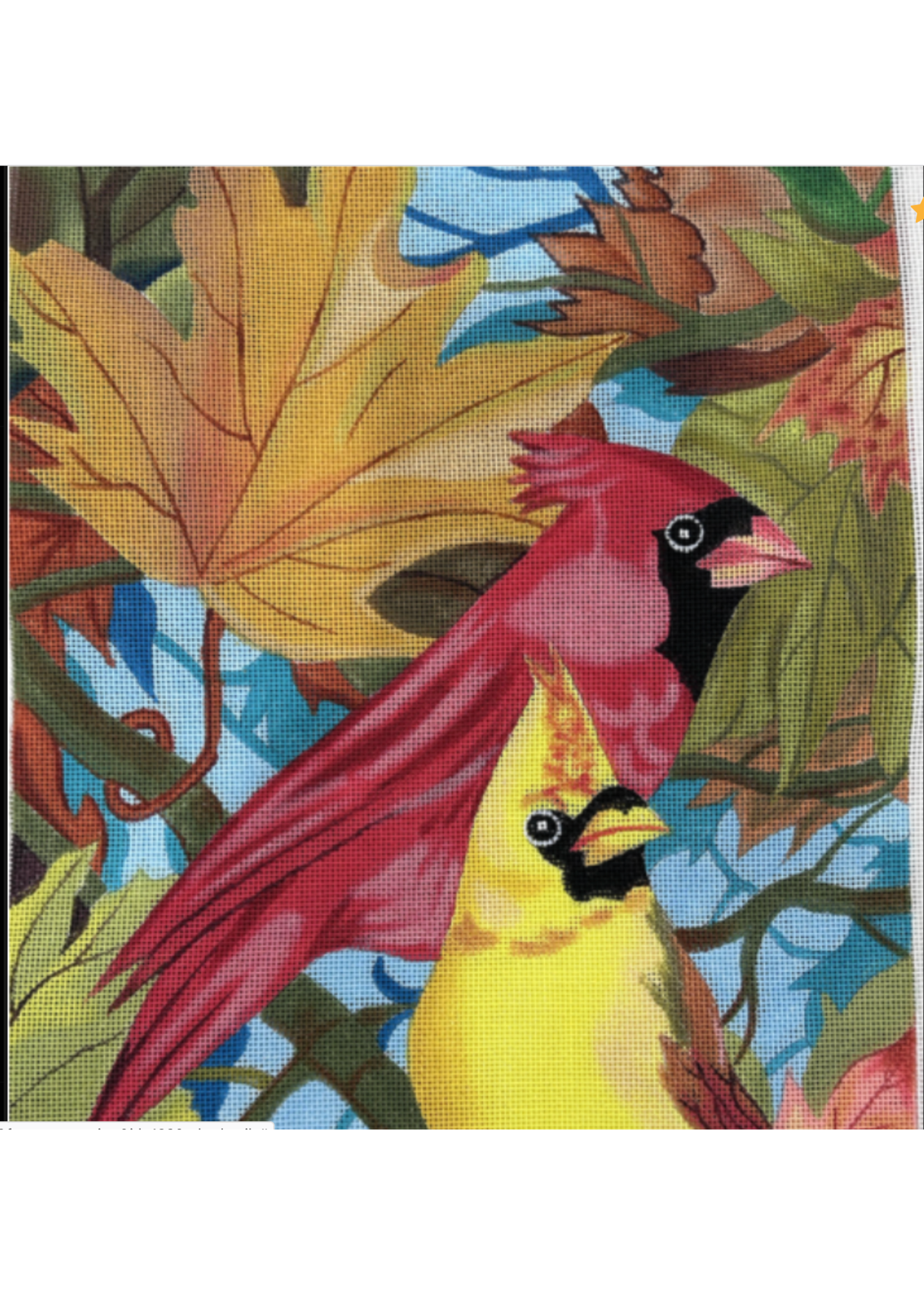 Cardinals-13