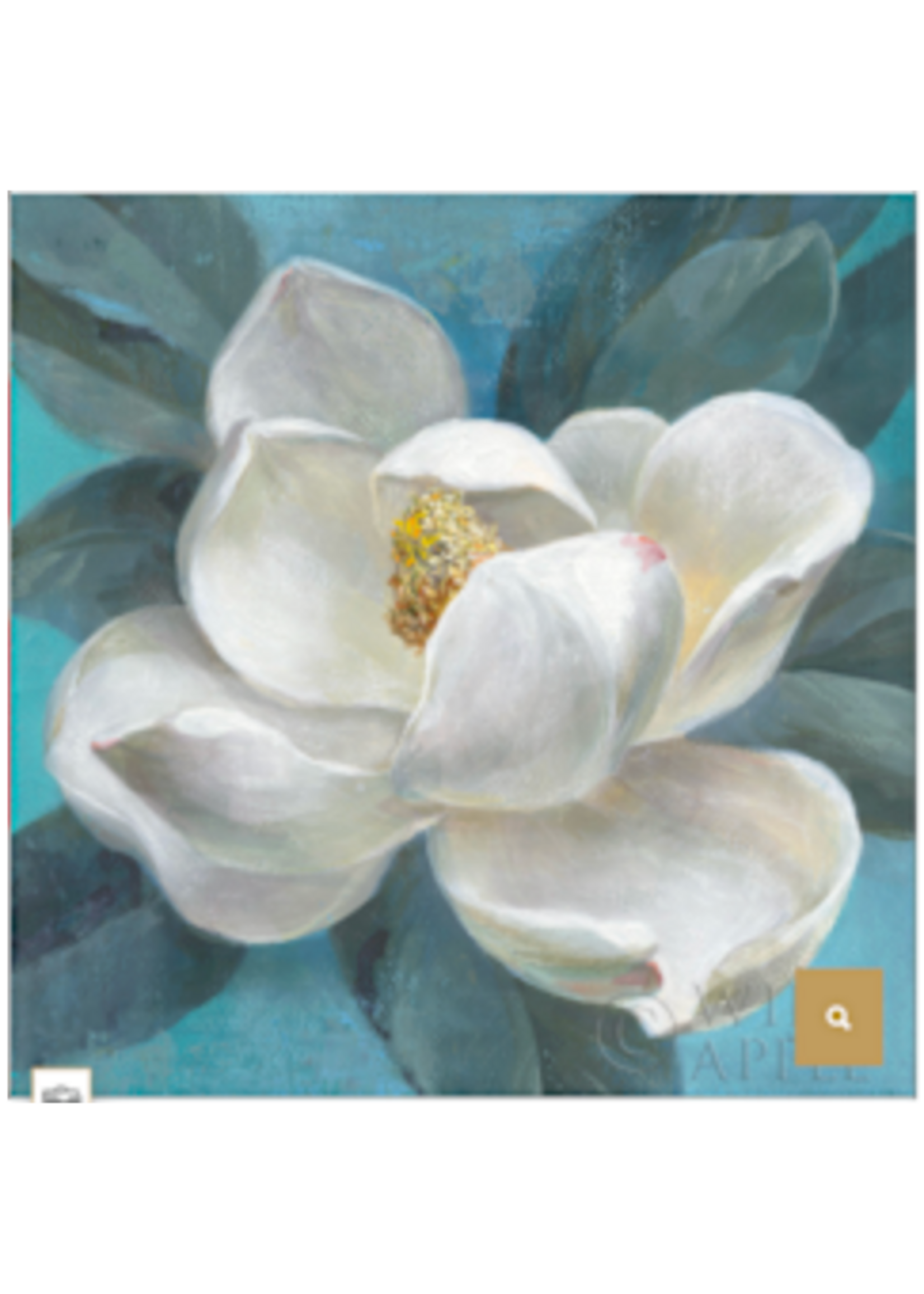 Southern Bloom-13ct