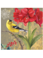 Winter Garden Gold Finch