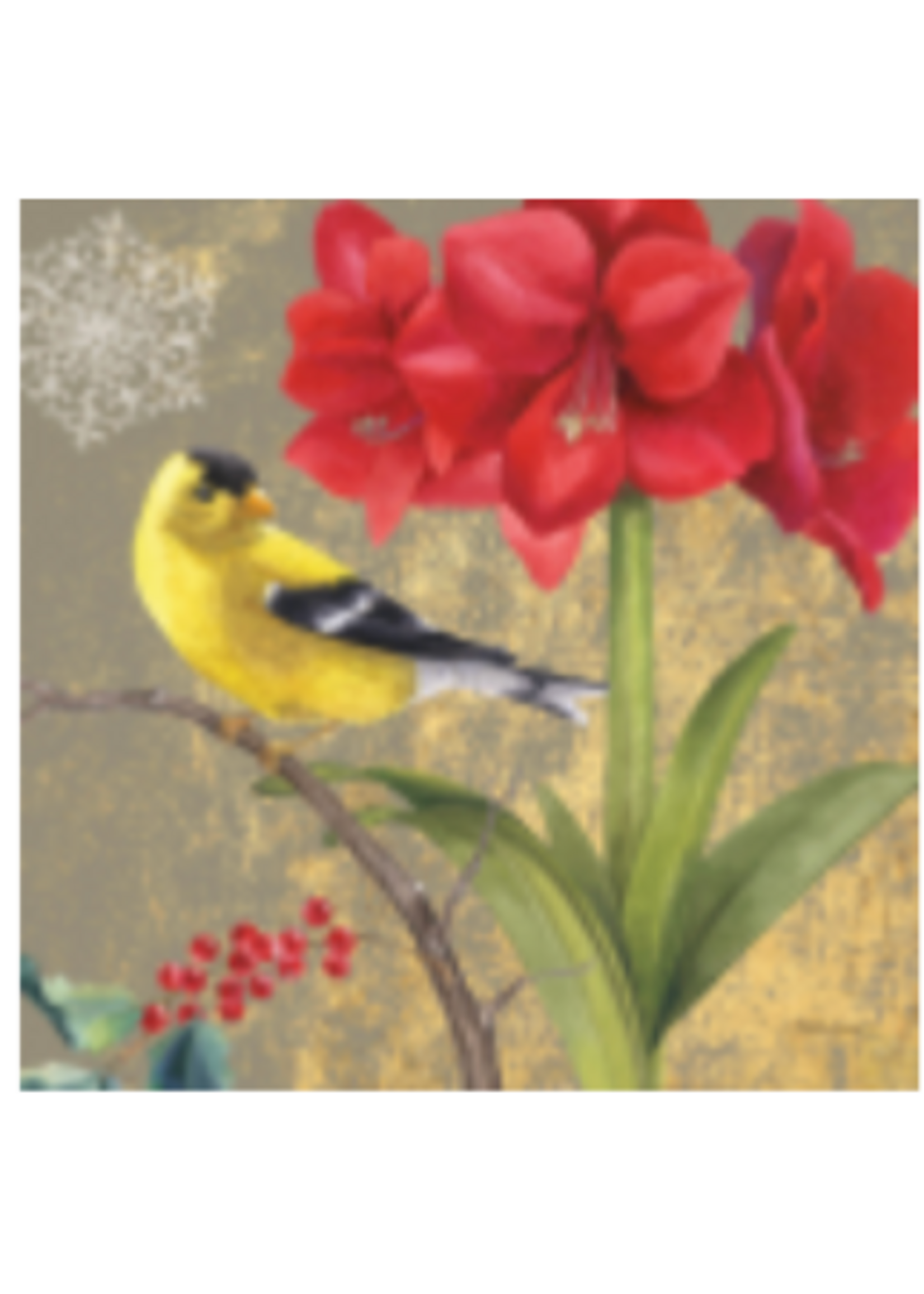Winter Bird Gold Finch