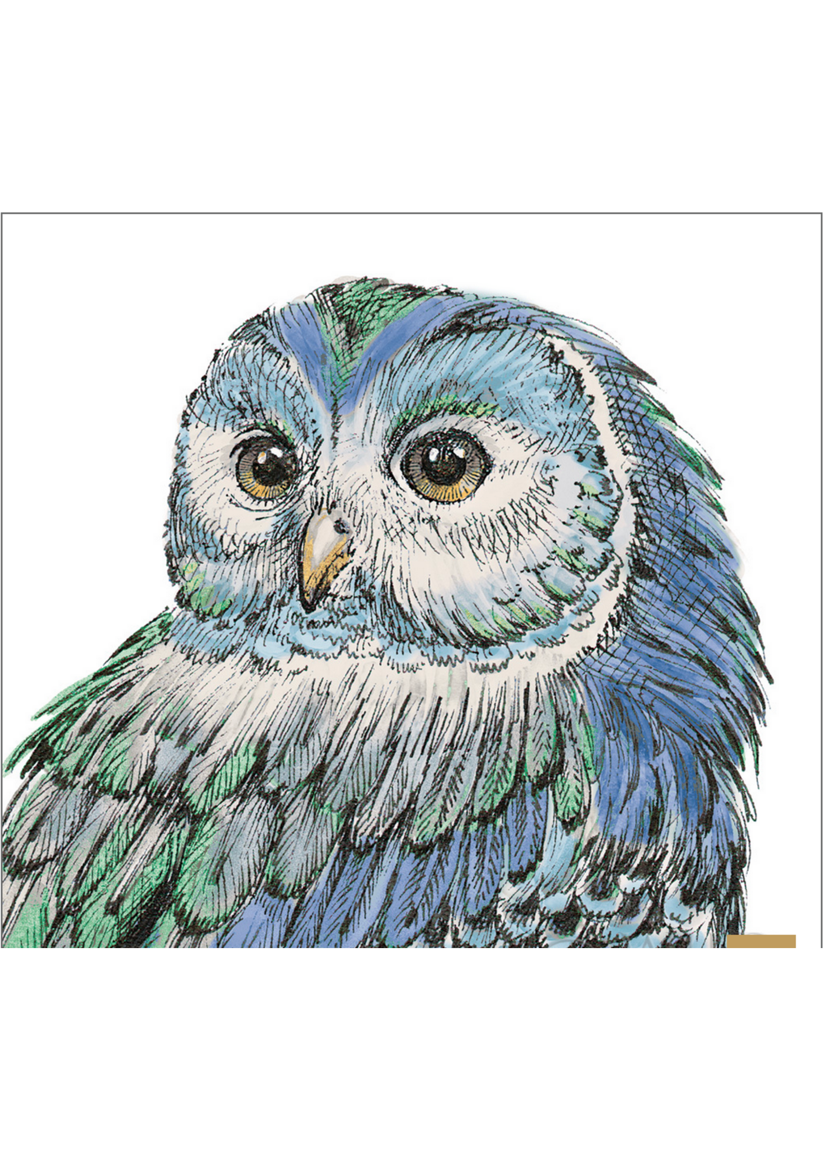 Peacock Beautiful Owl