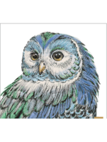 Peacock Beautiful  Owl