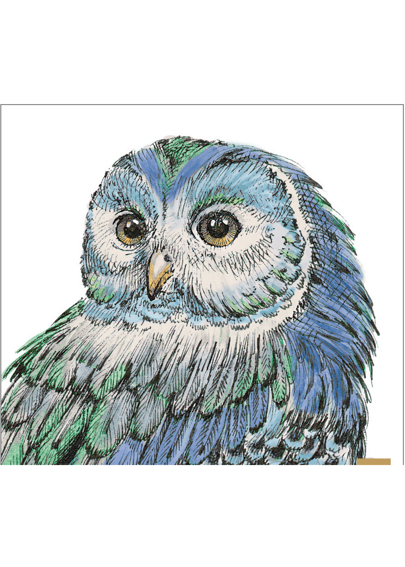 Peacock Beautiful  Owl