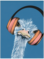 Ostrich Wild