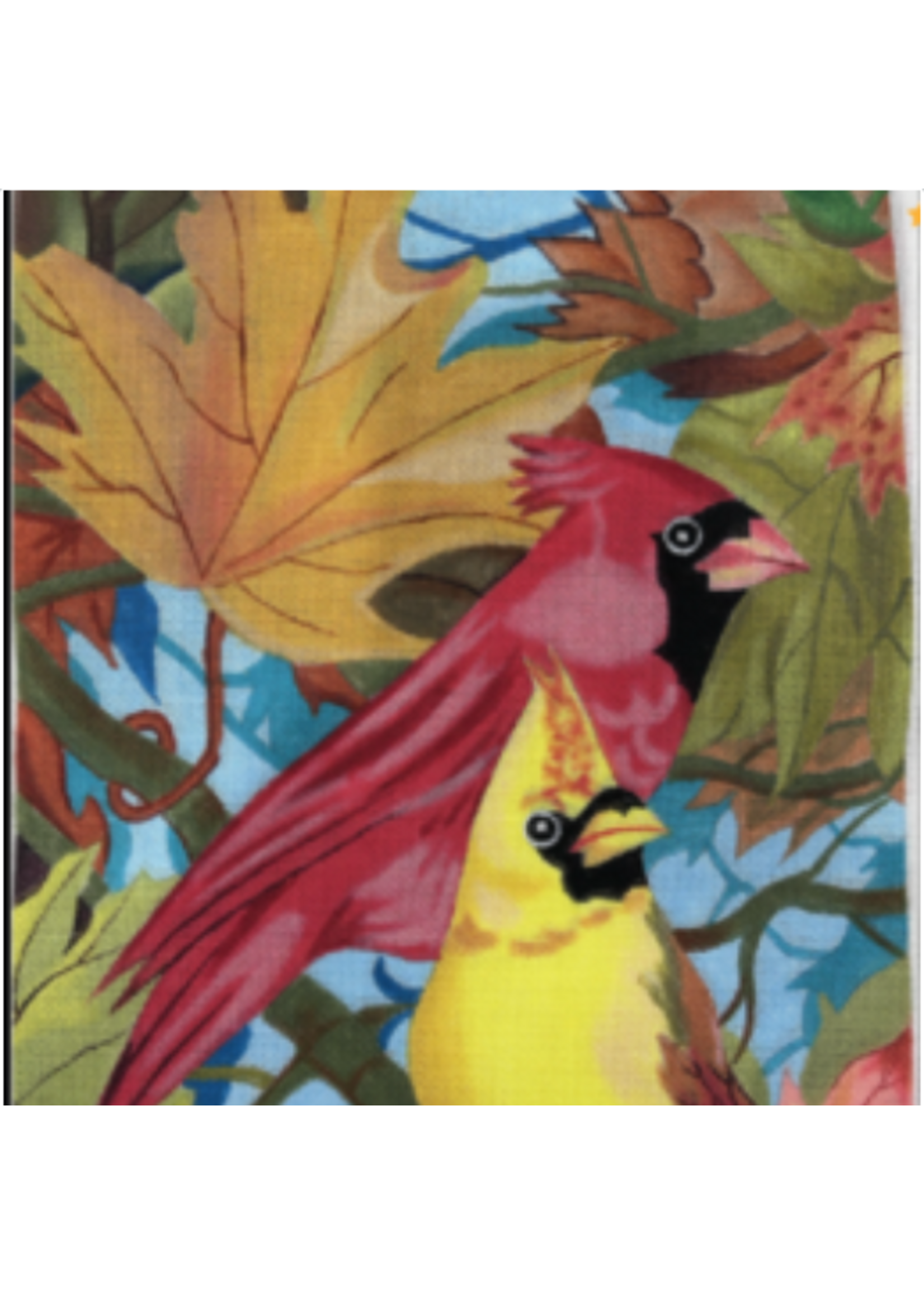 Cardinals-18