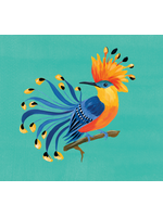 Bird of Paradise Sassy