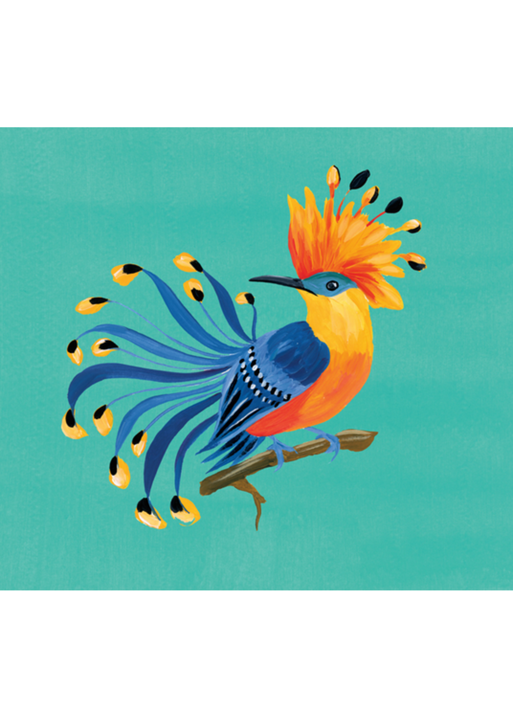 Bird of Paradise Sassy