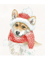 Winter Paws