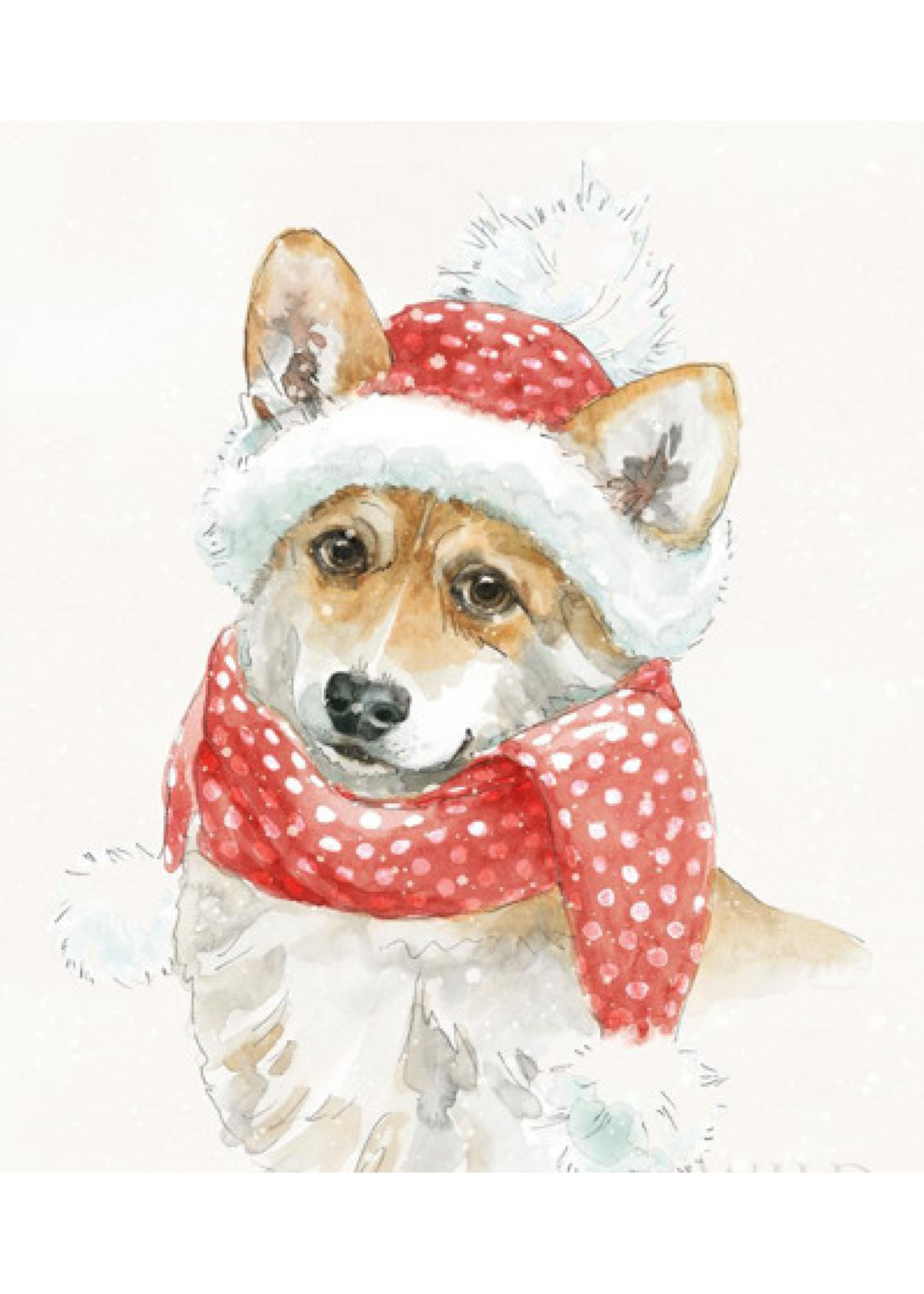 Winter Paws